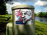images/Sawgrass Shinex.jpg
